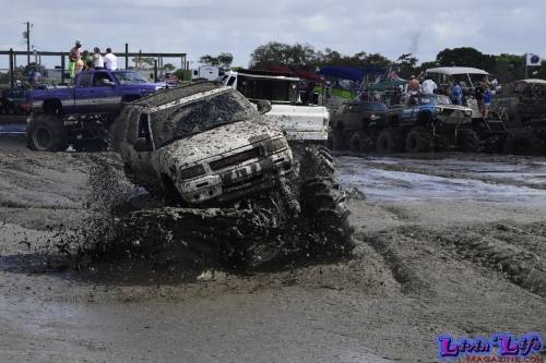 TGW Muddy Valentine at Plantbamboo 2020