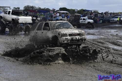 TGW Muddy Valentine at Plantbamboo 2020