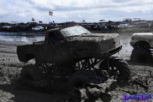 TGW Muddy Valentine at Plantbamboo 2020