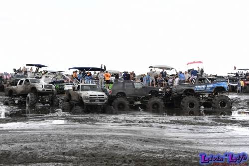 TGW Muddy Valentine at Plantbamboo 2020