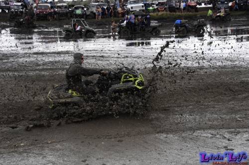 TGW Muddy Valentine at Plantbamboo 2020