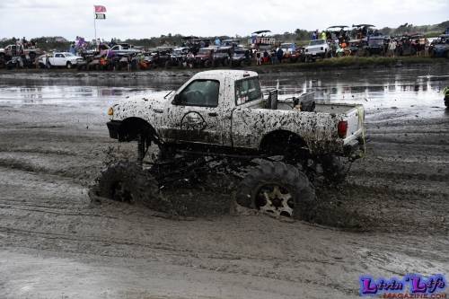 TGW Muddy Valentine at Plantbamboo 2020