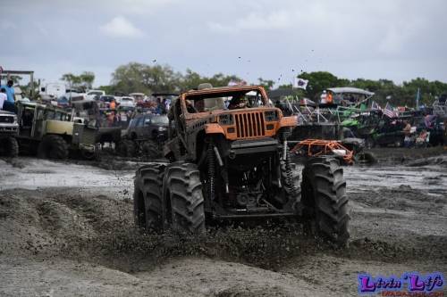 TGW Muddy Valentine at Plantbamboo 2020