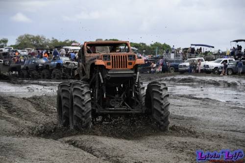 TGW Muddy Valentine at Plantbamboo 2020