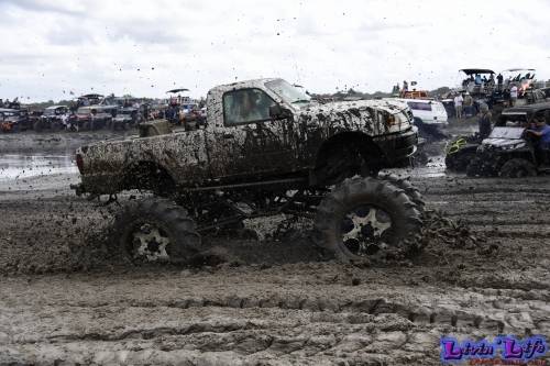TGW Muddy Valentine at Plantbamboo 2020
