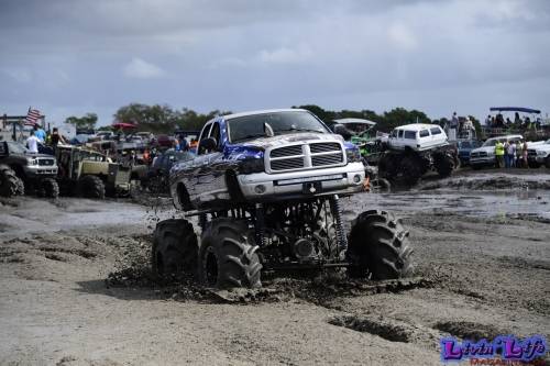 TGW Muddy Valentine at Plantbamboo 2020