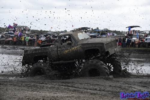 TGW Muddy Valentine at Plantbamboo 2020