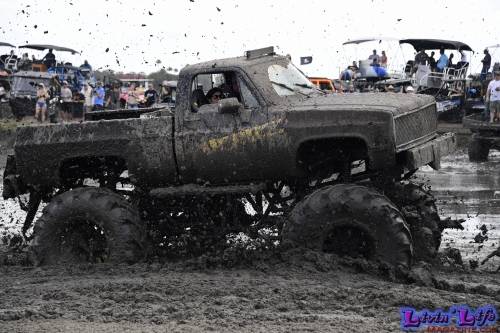 TGW Muddy Valentine at Plantbamboo 2020