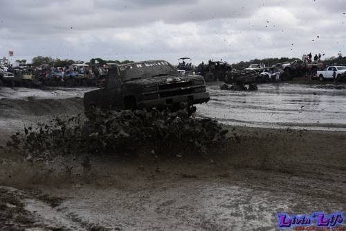 TGW Muddy Valentine at Plantbamboo 2020