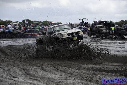 TGW Muddy Valentine at Plantbamboo 2020