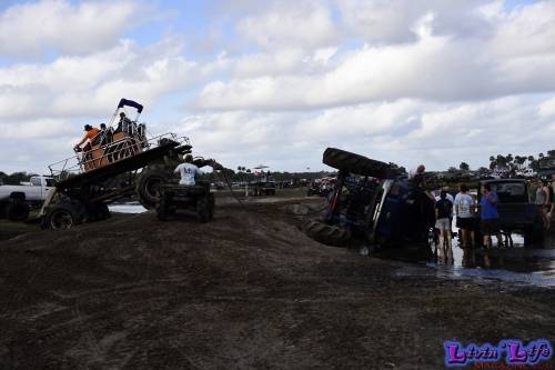 TGW Muddy Valentine at Plantbamboo 2020