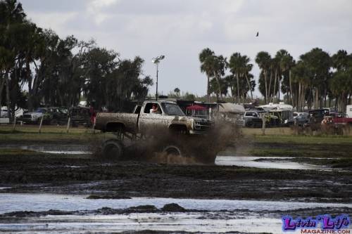 TGW Muddy Valentine at Plantbamboo 2020