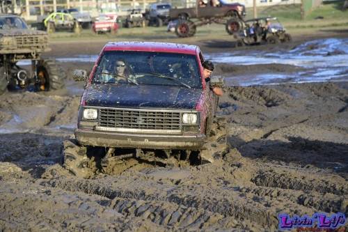 TGW Muddy Valentine at Plantbamboo 2020
