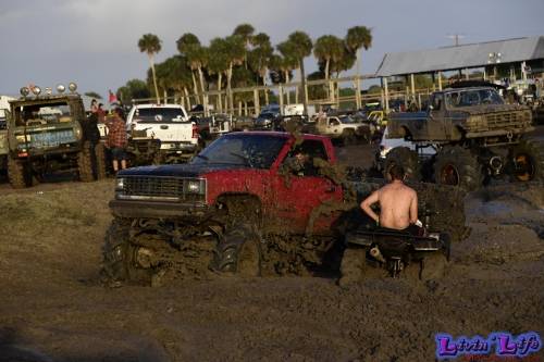 TGW Muddy Valentine at Plantbamboo 2020