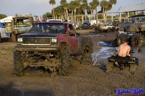 TGW Muddy Valentine at Plantbamboo 2020
