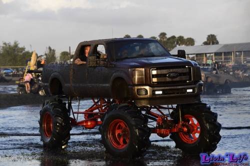 TGW Muddy Valentine at Plantbamboo 2020
