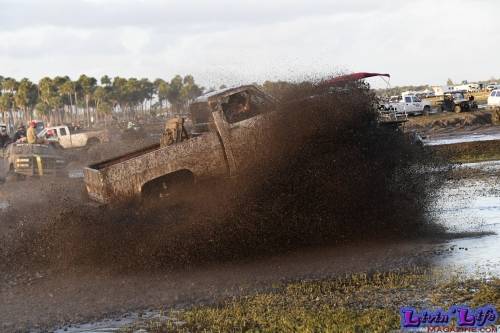 TGW Muddy Valentine at Plantbamboo 2020