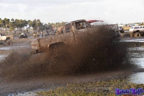 TGW Muddy Valentine at Plantbamboo 2020
