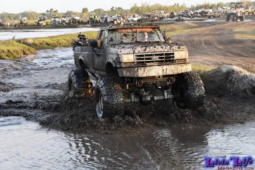 TGW Muddy Valentine at Plantbamboo 2020