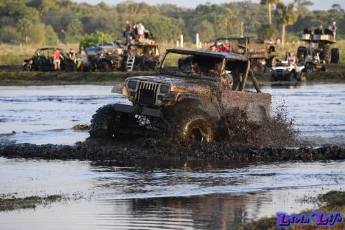 TGW Muddy Valentine at Plantbamboo 2020