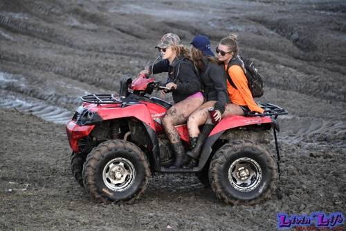 TGW Muddy Valentine at Plantbamboo 2020