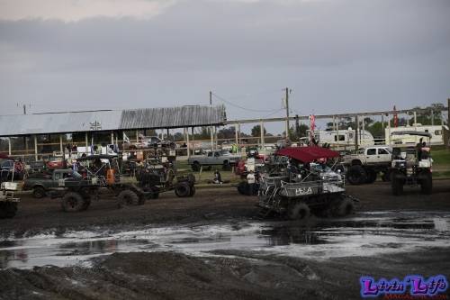 TGW Muddy Valentine at Plantbamboo 2020