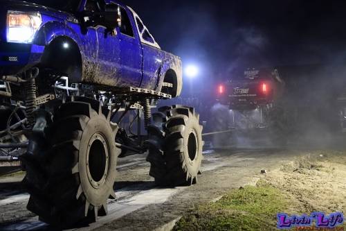TGW Muddy Valentine at Plantbamboo 2020
