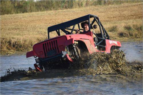 Trucks Gone Wild 2017