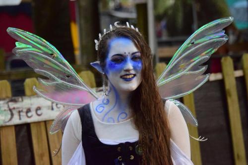 Bay Area Renaissance Festival 2018 - Pirates & Pets