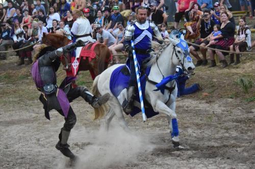 Bay Area Renaissance Festival 2018 - Pirates & Pets