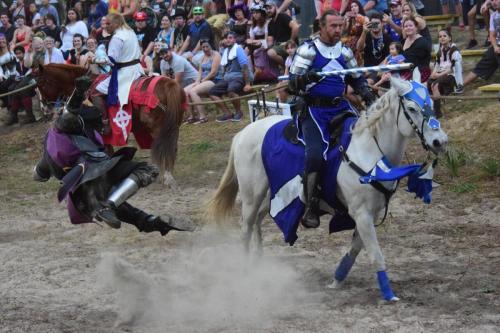 Bay Area Renaissance Festival 2018 - Pirates & Pets