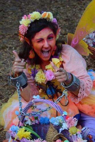 Bay Area Renaissance Festival 2018 - Pirates & Pets