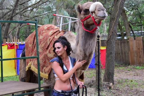 Bay Area Renaissance Festival 2018 - Pirates & Pets