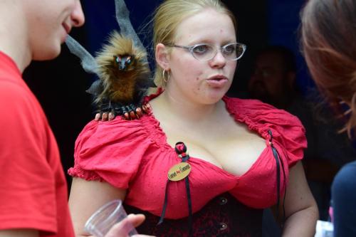 Bay Area Renaissance Festival 2018 - Pirates & Pets