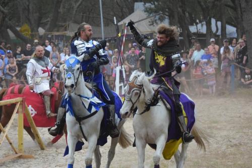 Bay Area Renaissance Festival 2018 - Pirates & Pets