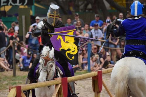Bay Area Renaissance Festival 2018 - Pirates & Pets