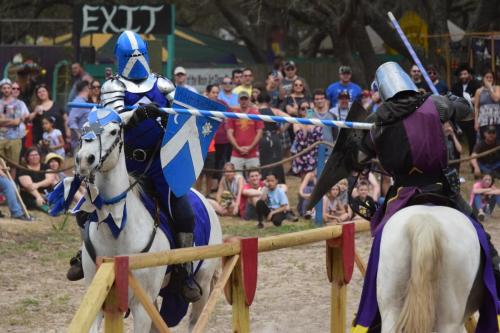 Bay Area Renaissance Festival 2018 - Pirates & Pets