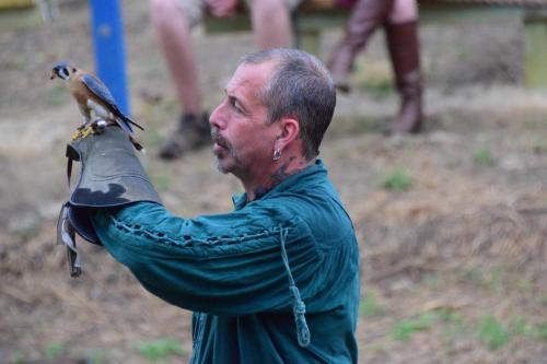 Bay Area Renaissance Festival 2018 - Pirates & Pets