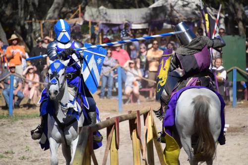 Bay Area Renaissance Fastival 2018 - Time Travelers