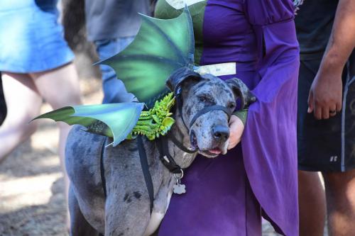 Bay Area Renaissance Fastival 2018 - Time Travelers