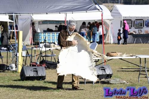 Brooksville Native American Festival 2020