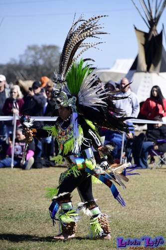 Brooksville Native American Festival 2020