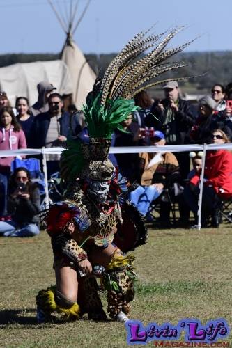 Brooksville Native American Festival 2020