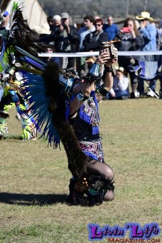 Brooksville Native American Festival 2020