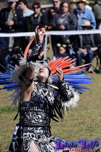 Brooksville Native American Festival 2020