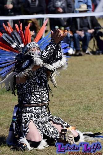 Brooksville Native American Festival 2020