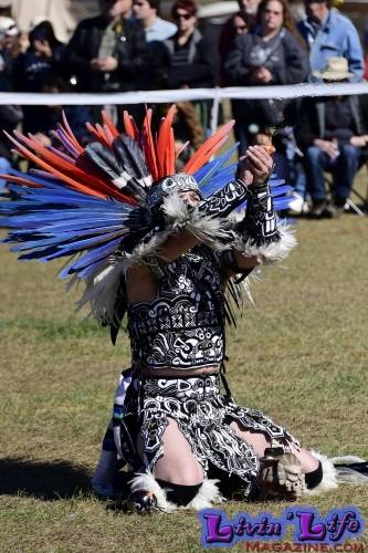 Brooksville Native American Festival 2020