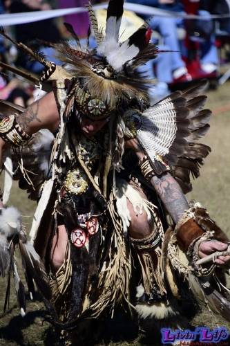 Brooksville Native American Festival 2020