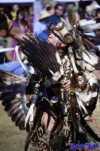 Brooksville Native American Festival 2020