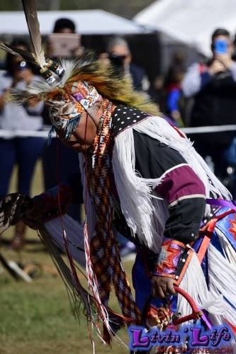 Brooksville Native American Festival 2020
